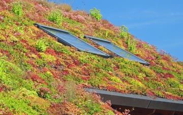 Lately Common living roof systems