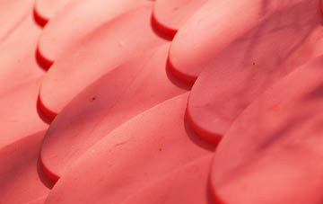 Lately Common plastic roof costs